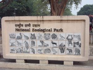 Picnic spots for kids in Delhi