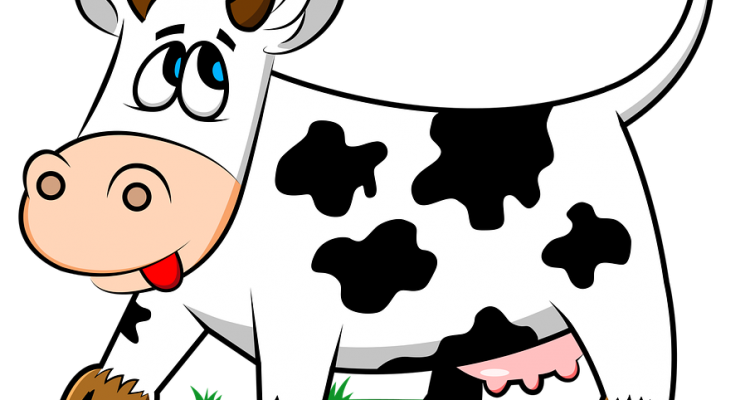 Cow milk